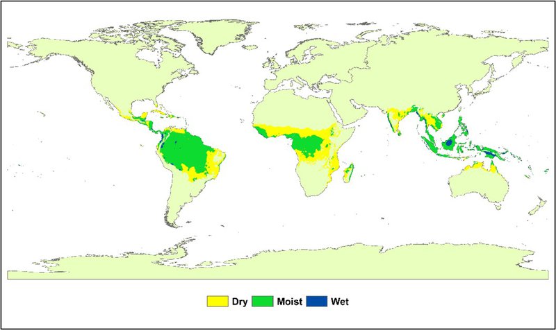 EcoTropicalDryMoistWetMap.jpg