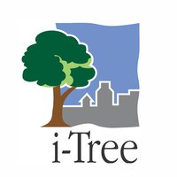 Logo_iTree_Small_Framed.jpg