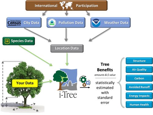 EcoSchematic